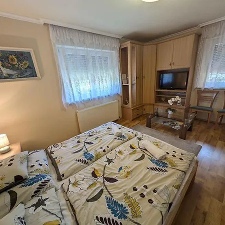 In - Theiss-see 43133 Дом отдыха *